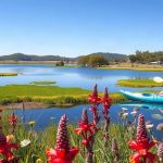 Things to do and places to visit in Loch Sport, Victoria