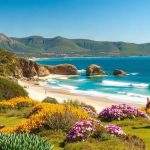 Things to do and places to visit in Yanakie, Victoria